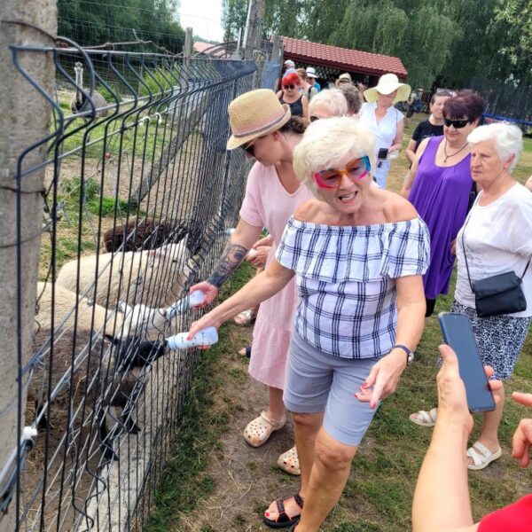Lipiec w Seniorze - seniorzy podczas wycieczki karmiący zwierzęta