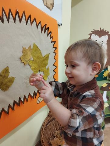 Dzień Jeża – grupa I