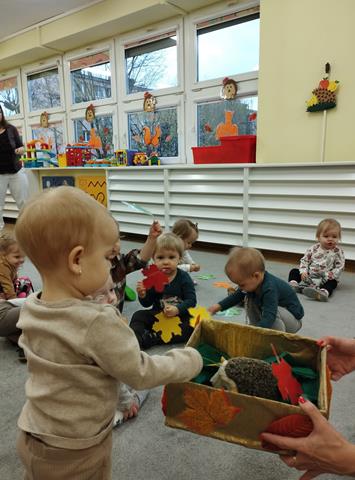 Dzień Jeża – grupa I