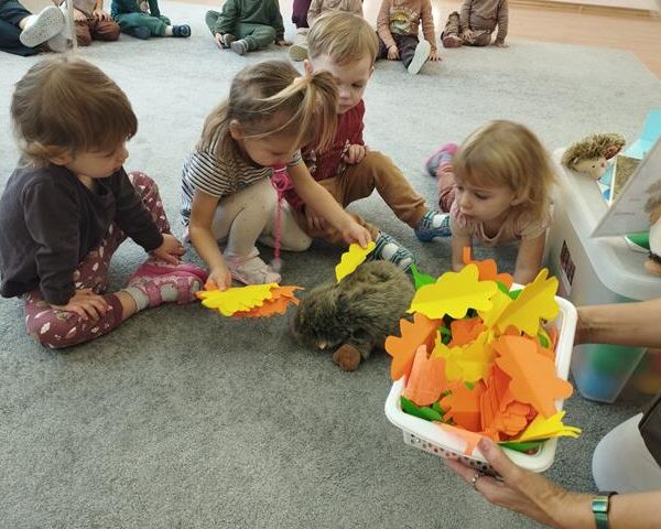 Dzień Jeża – grupa III