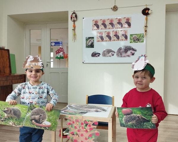 Dzień Jeża – grupa IV