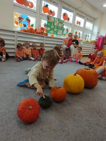 Święto Dyni – grupa III