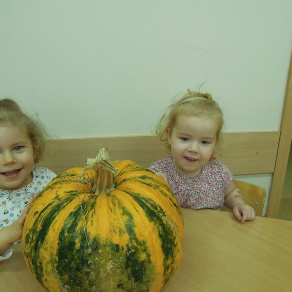 Święto Dyni grupa II