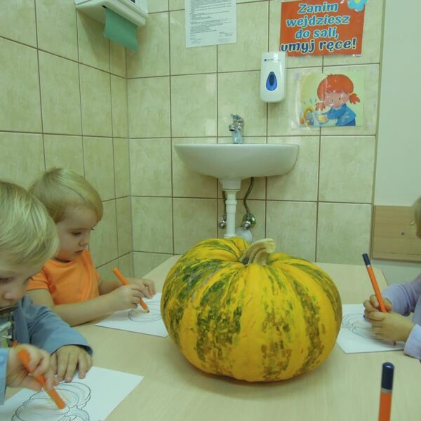 Święto Dyni grupa II