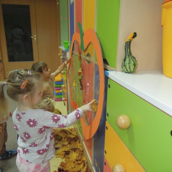 Święto Dyni grupa II