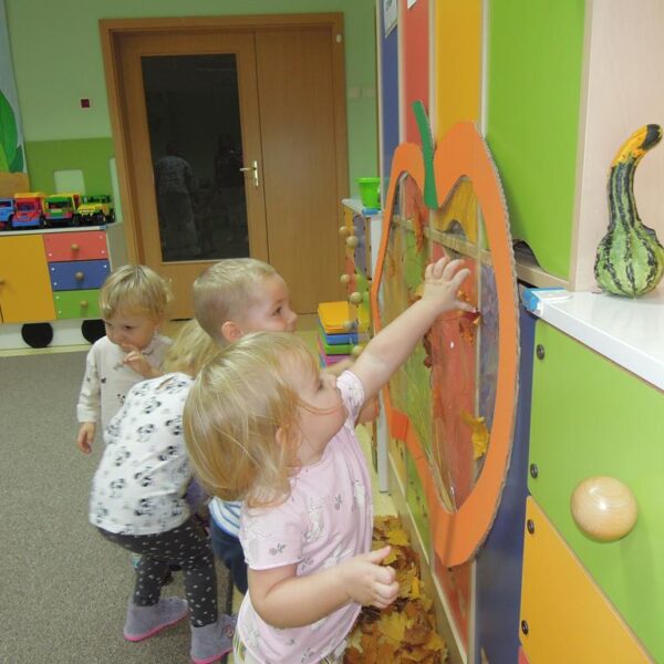 Święto Dyni grupa II