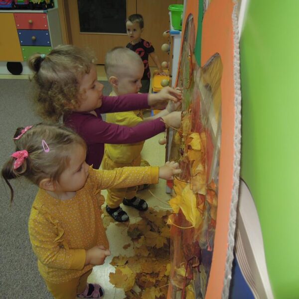 Święto Dyni grupa II