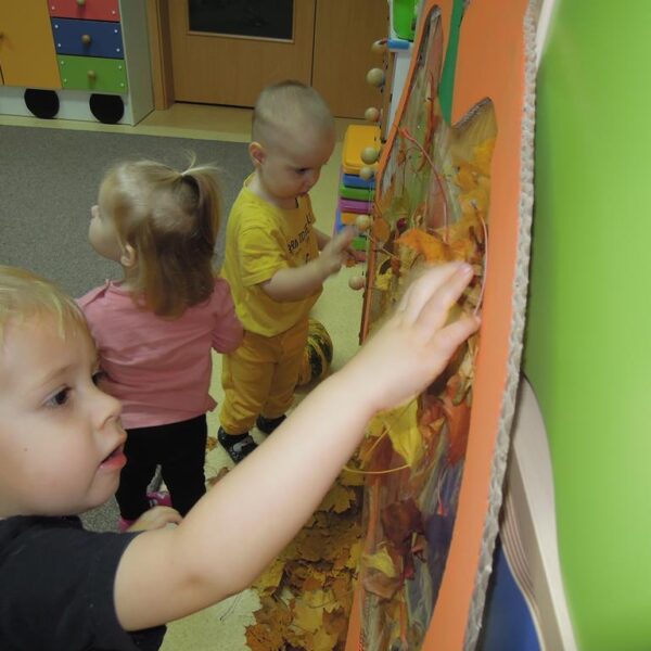 Święto Dyni grupa II