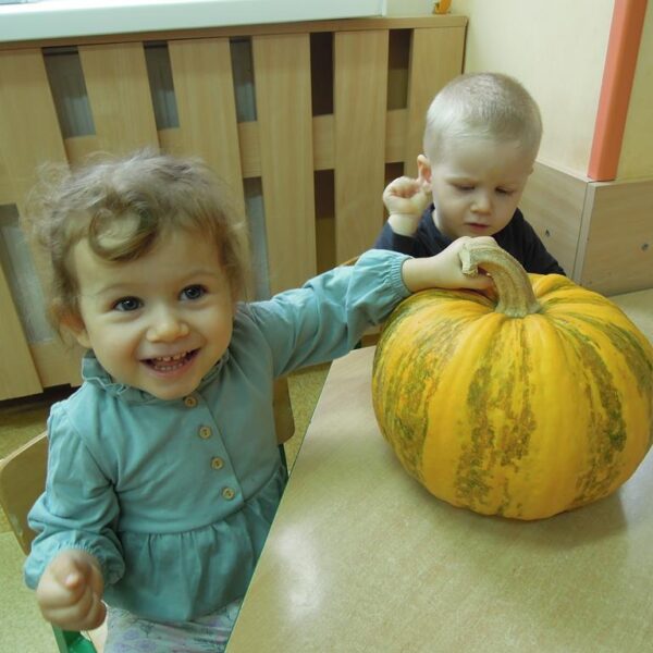 Święto Dyni grupa II