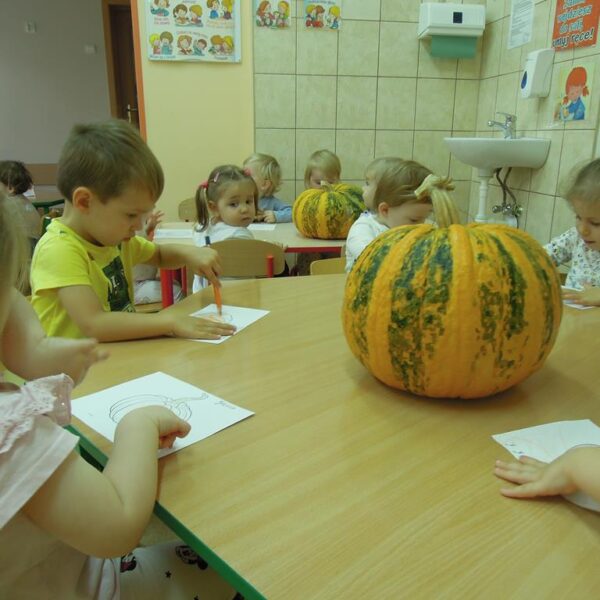 Święto Dyni grupa II