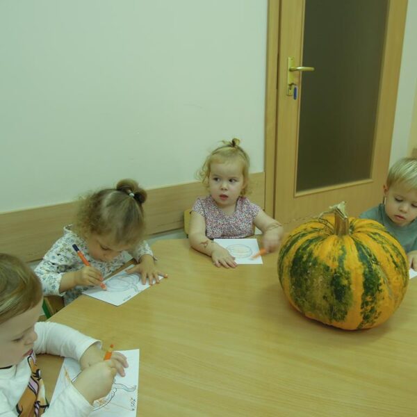 Święto Dyni grupa II