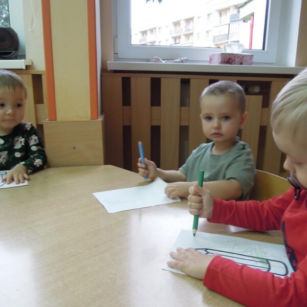 Utrwalamy kolory grupa II