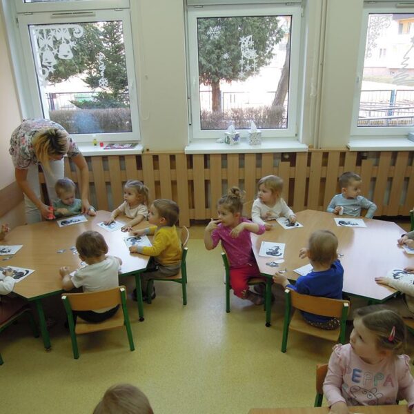 Dzień Kotka grupa II