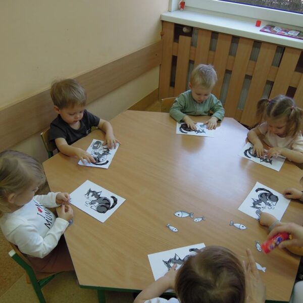 Dzień Kotka grupa II