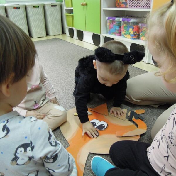 Dzień Kotka grupa II