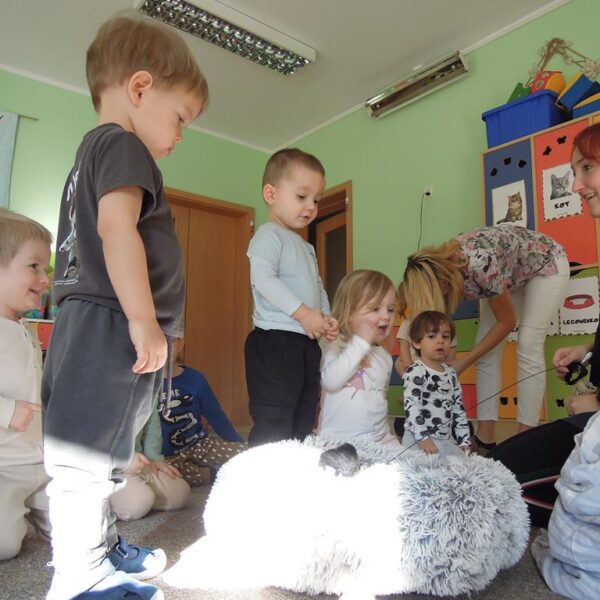 Dzień Kotka grupa II