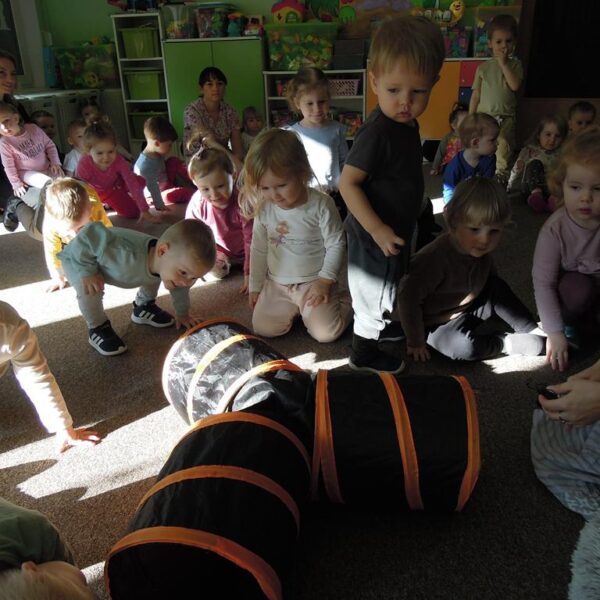 Dzień Kotka grupa II