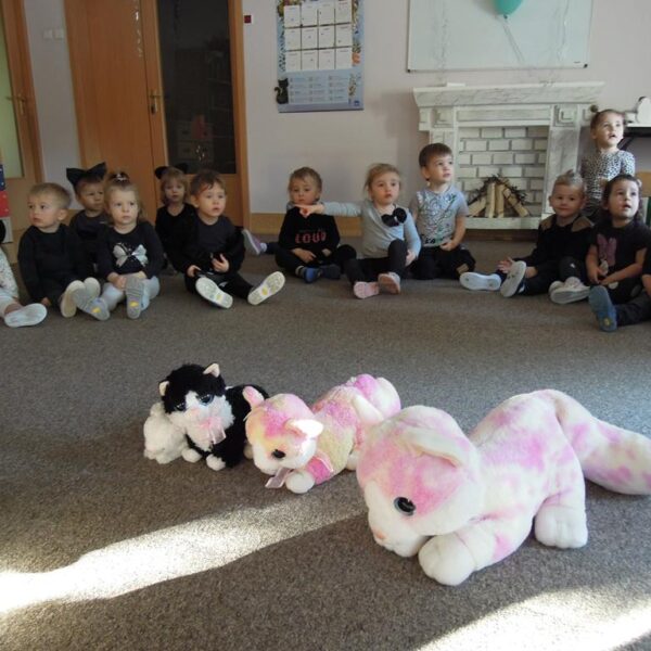 Dzień Kotka grupa III