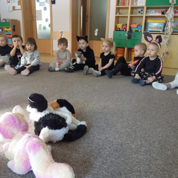 Dzień Kotka grupa III