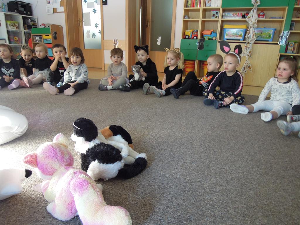 Dzień Kotka grupa III