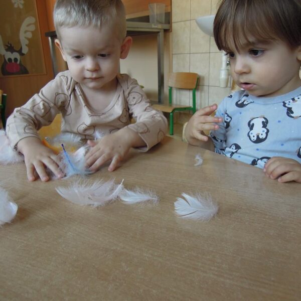 Jak dokarmiać ptaszki grupa II