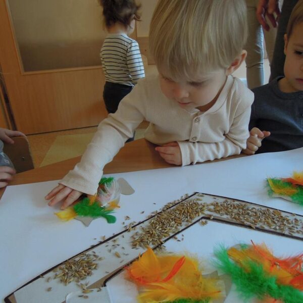 Jak dokarmiać ptaszki grupa II