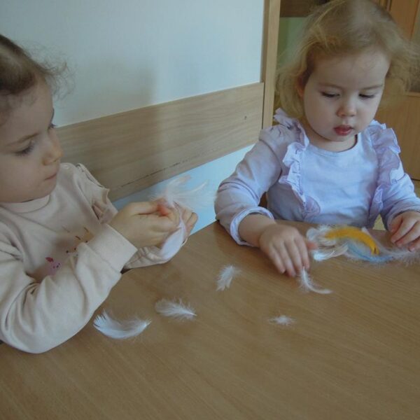 Jak dokarmiać ptaszki grupa II