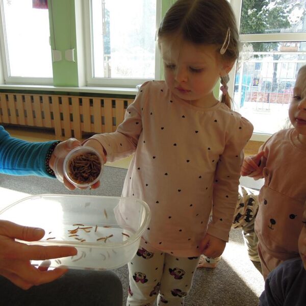 Jak dokarmiać ptaszki grupa II