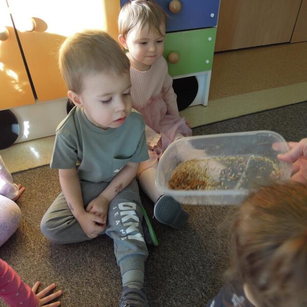 Jak dokarmiać ptaszki grupa II