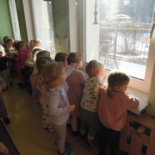 Jak dokarmiać ptaszki grupa II