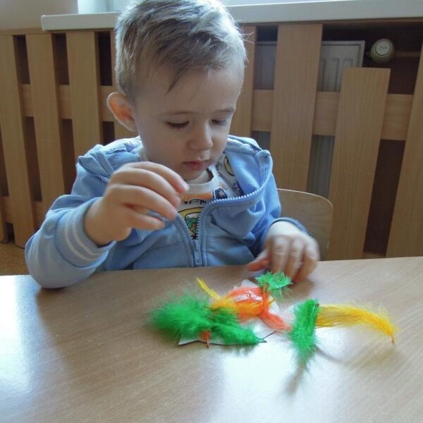 Jak dokarmiać ptaszki grupa II