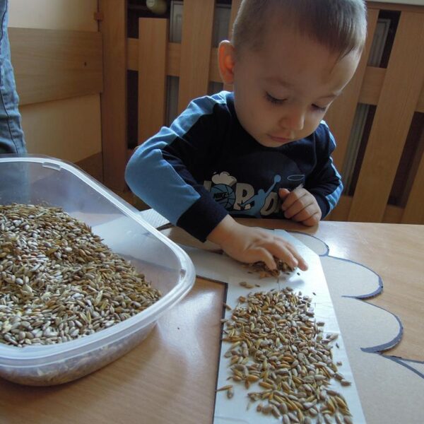 Jak dokarmiać ptaszki grupa II