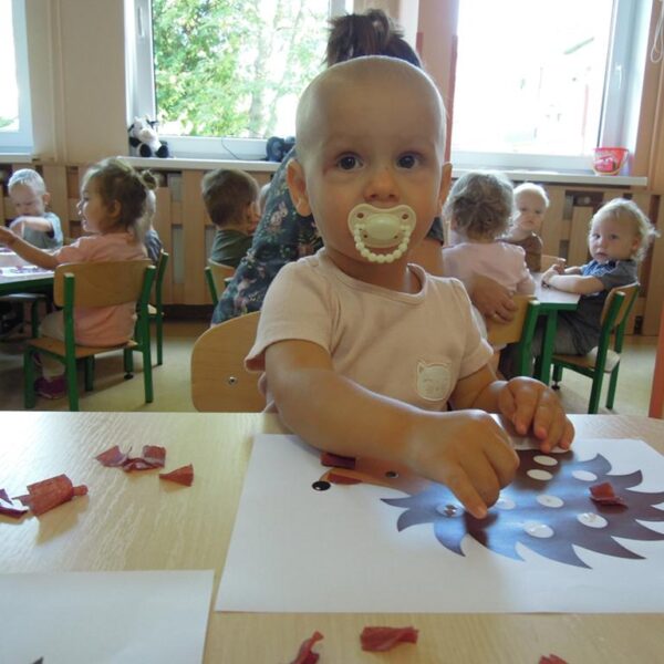 Praca plastyczna JEŻ grupa II