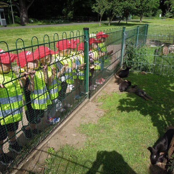 Spacer po parku - spotkanie z dinozaurami