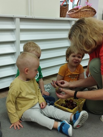 Dary jesieni – grupa IV