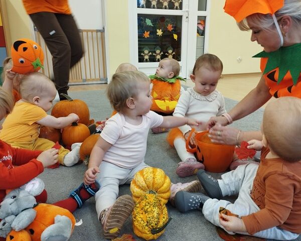 Dzień Dyni – grupa I