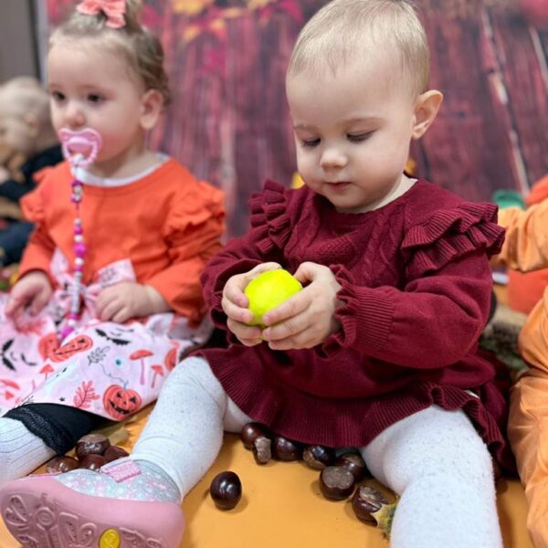 Jesienne odkrycia w grupa I