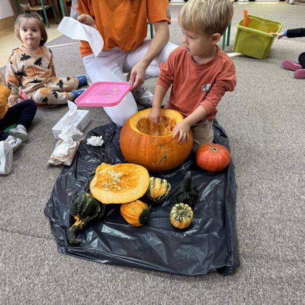 Dzień Dyni grupa III