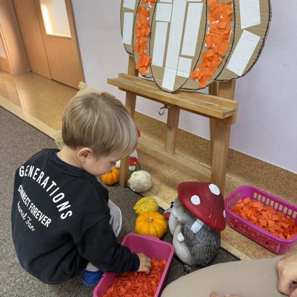 Dzień Dyni grupa III