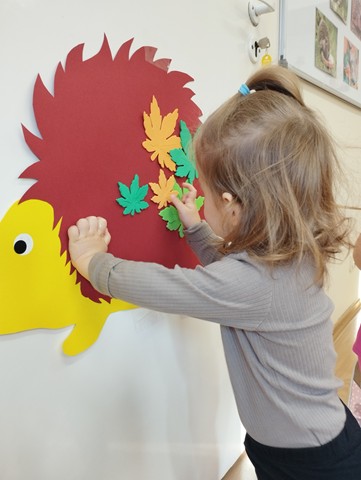 Dzień Jeża – grupa II