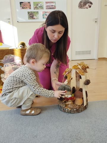 Dzień Jeża – grupa II