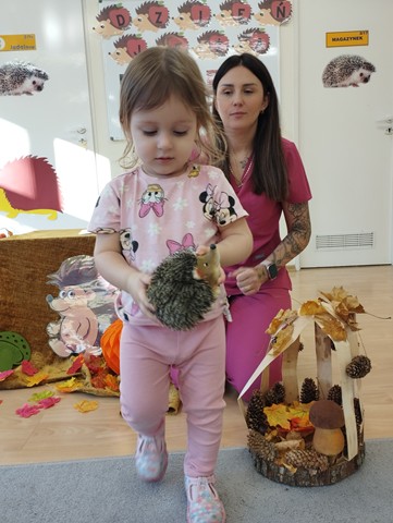 Dzień Jeża – grupa II