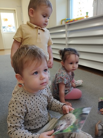 Dzień Jeża – grupa II