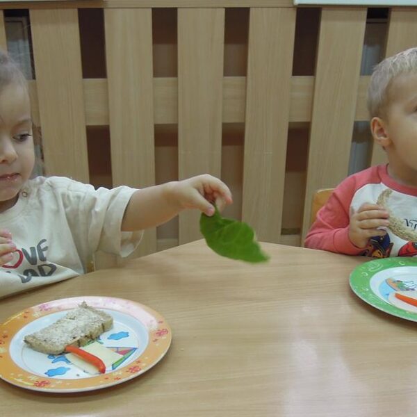 Dzień kanapki grupa II