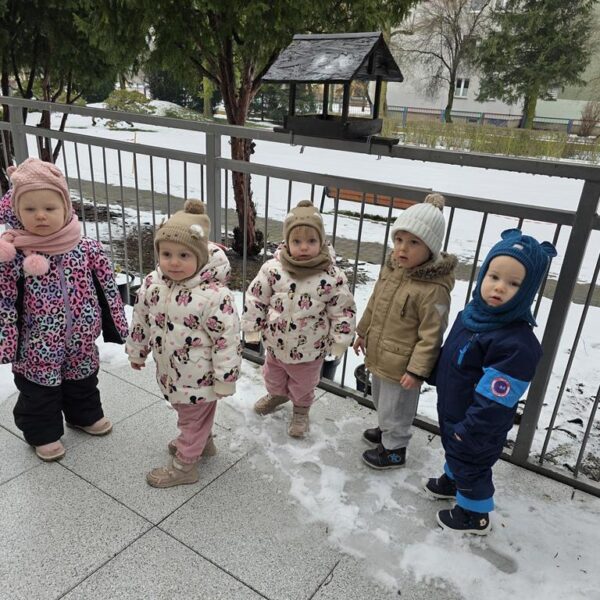 Dokarmianie ptaków gr. II