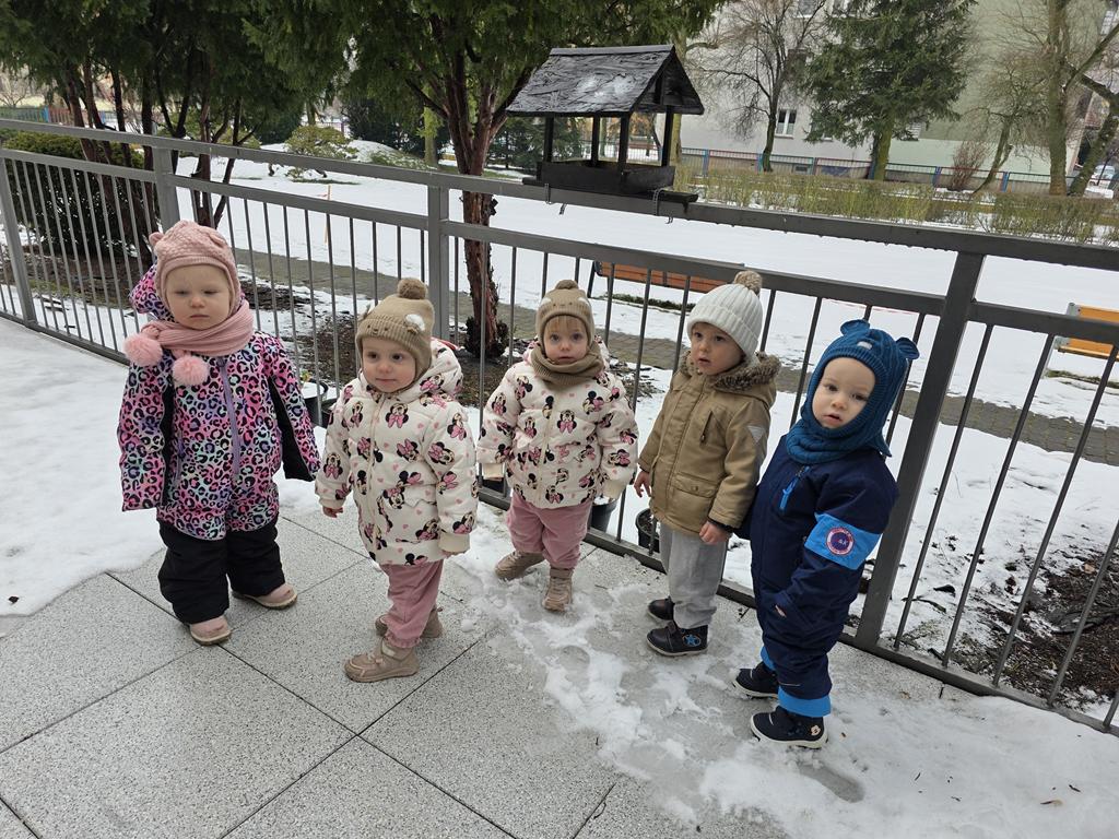 Dokarmianie ptaków gr. II