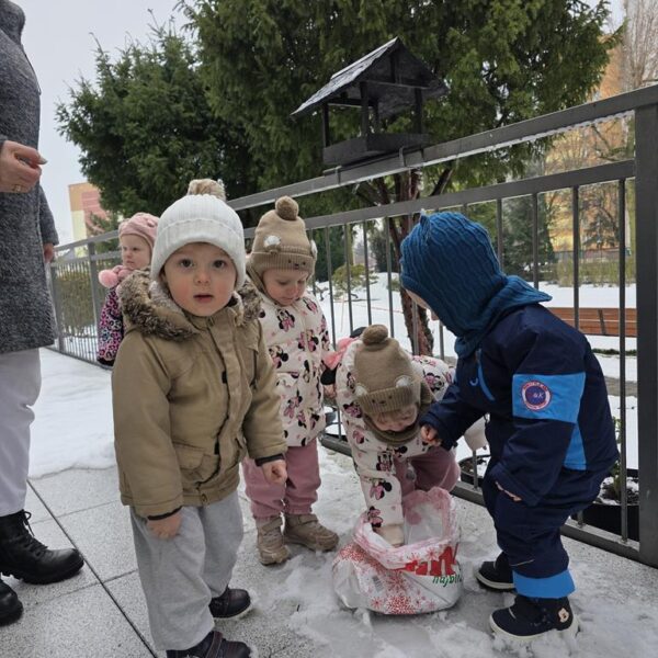 Dokarmianie ptaków gr. II