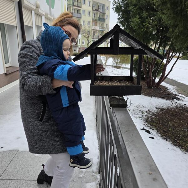 Dokarmianie ptaków gr. II