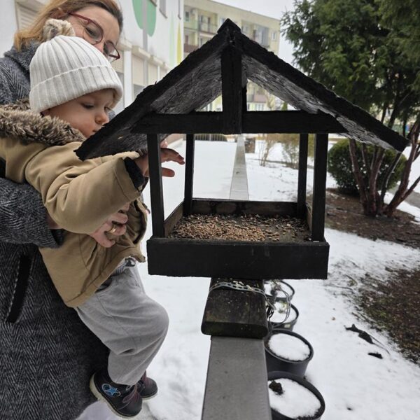 Dokarmianie ptaków gr. II