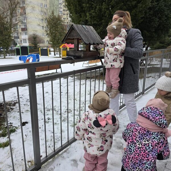 Dokarmianie ptaków gr. II